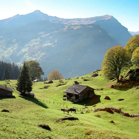 Abendrot Apartments-26 By Interhome Grindelwald